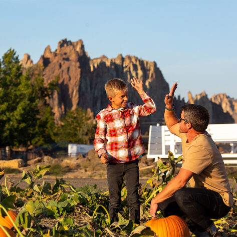 Smith Rock Ranch is the perfect place to pick out your pumpkin for carving.