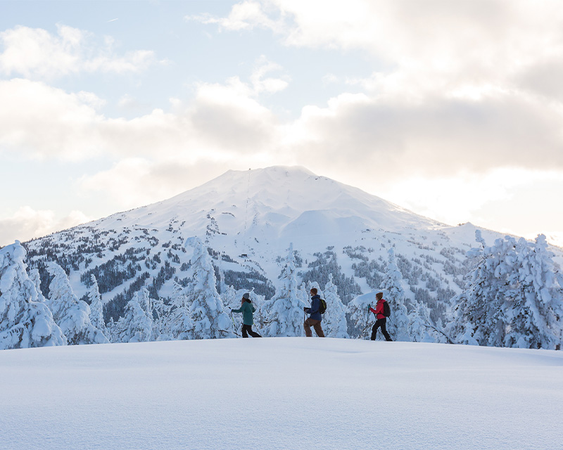 Snowshoers crossing Tumalo Mountain with Mt. Bachelor in the background. 