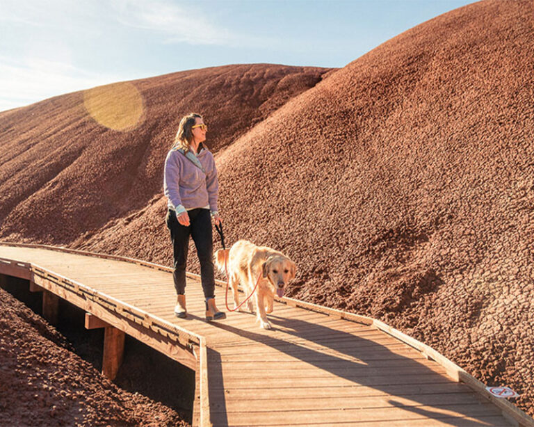 A hiker and their dog on the elevated path at the Painted Hills outside of Bend, Oregon.