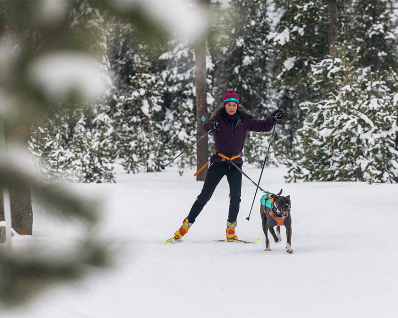Skijoring with a dog in Bend, Oregon