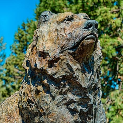 Grizzly, a public artwork in Bend, OR