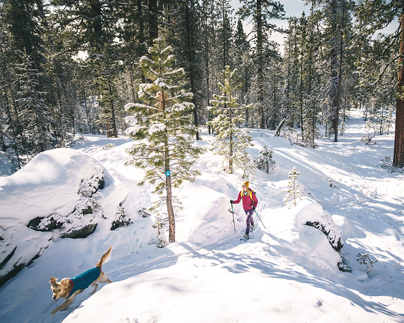 Snowshoeing with a dog at Edison Sno-Park near Bend, Oregon