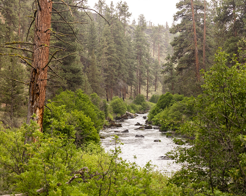 The Deschutes River at Tumalo State Park in Bend, OR