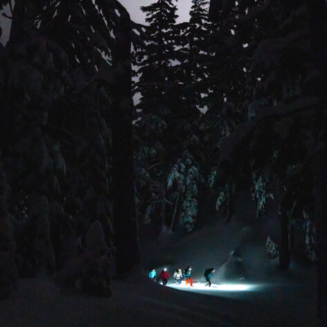 Guided snowshoe tour in Bend, OR