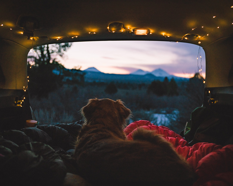 View from the back of a camper in Bend, OR