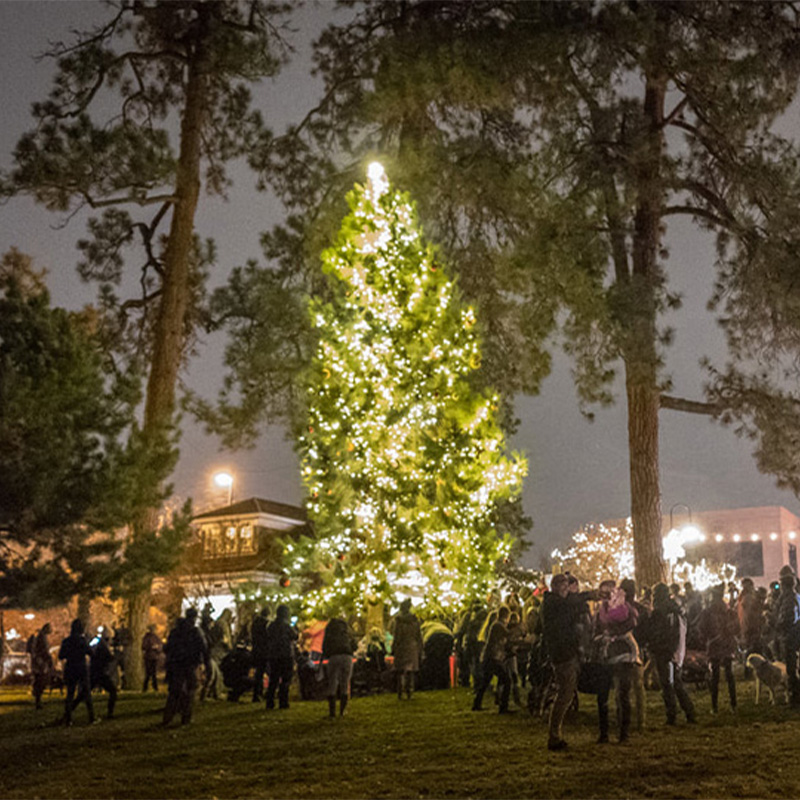 Bend, Oregon community gathers in Drake Park for the annual tree lighting.