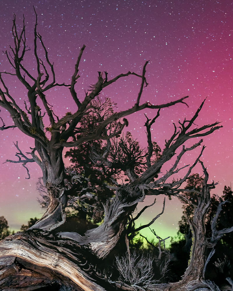 Stargazing in the Oregon Badlands Wilderness