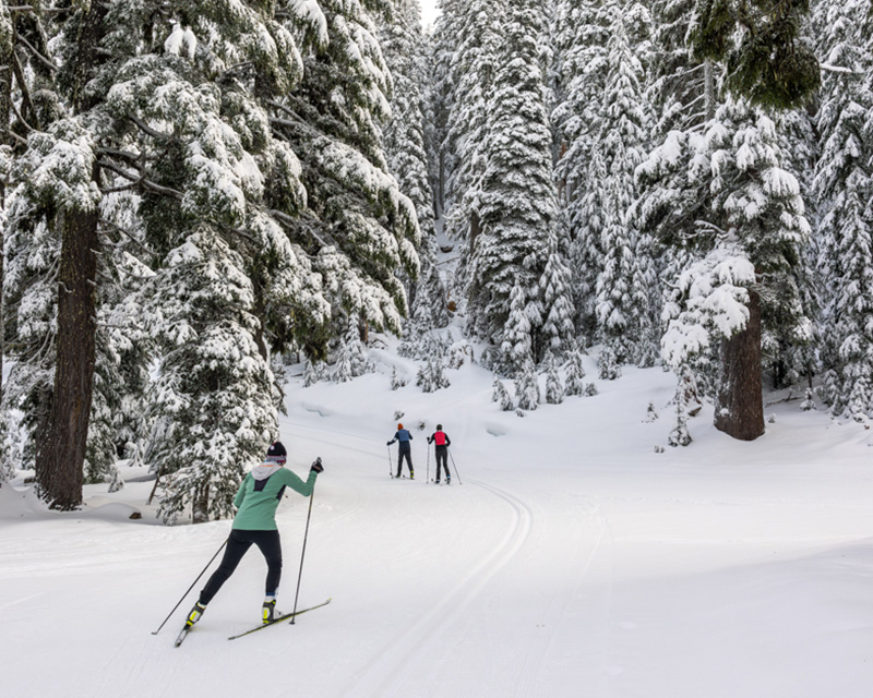 Nordic skiing at Mt Bachelor near Bend, OR