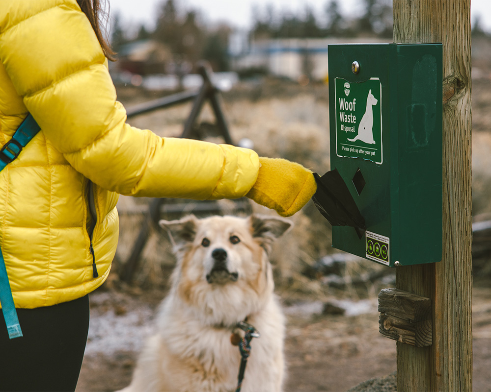 Hiker gets a dog bag from the station at the trailhead in Bend, Oregon. 