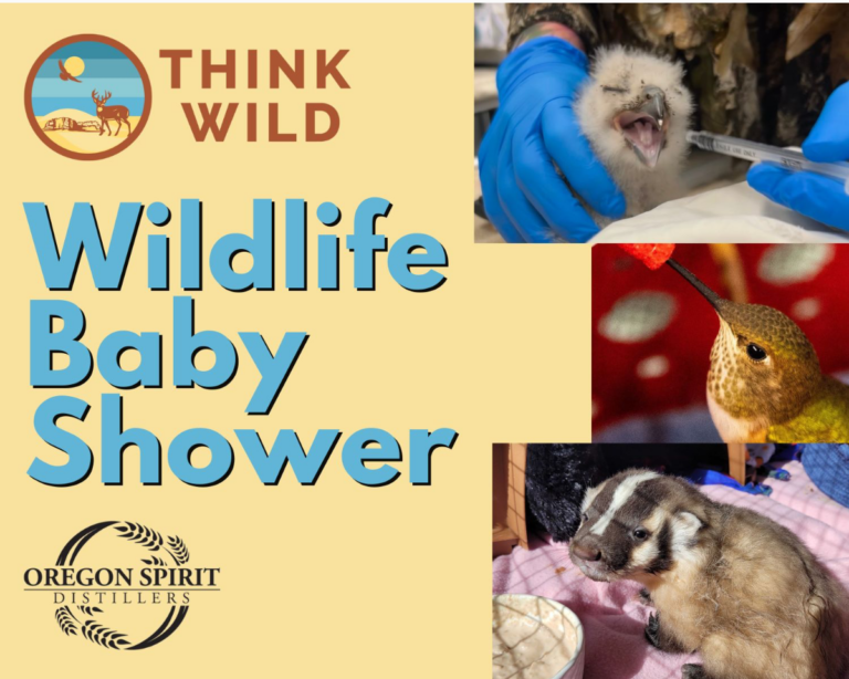 Wildlife Baby Shower