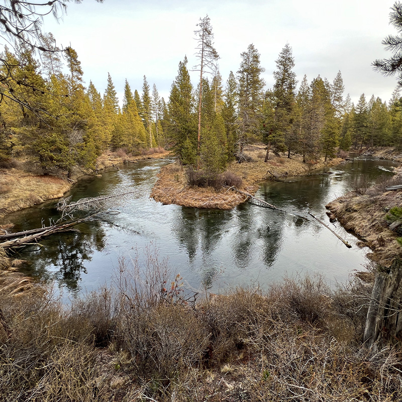 View of the clear river in La Pine State Park. 