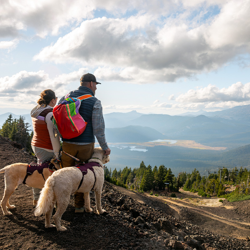 A couple of hikers admire the view of the Cascade Mountains from the new summer hiking trail at Mt. Bachelor ski area near Bend, Oregon. 