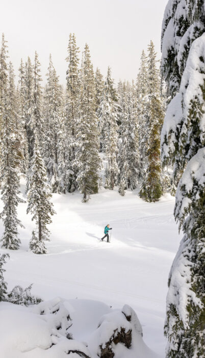 A lone cross-country skier moving through a quiet, snow-draped forest outside Bend, Oregon—showcasing peaceful winter recreation and things to do in Bend in winter.