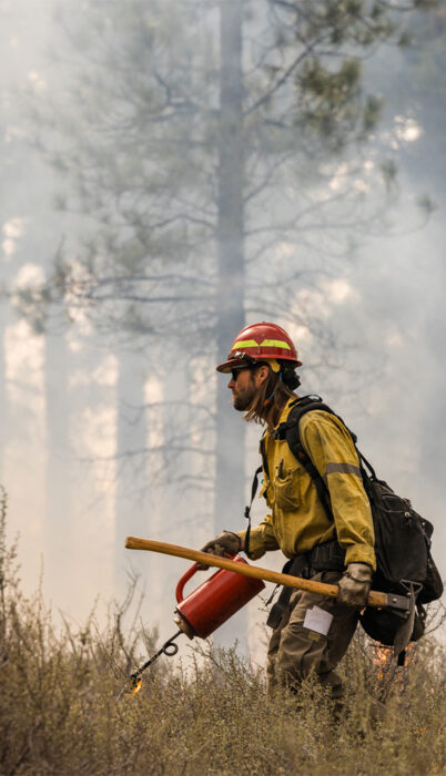 A Forest Service firefighter in a yellow Nomex shirt and red hard hat walks through dense shrubs while carrying a drip torch during a prescribed burn in the Deschutes National Forest near Bend, Oregon. Smoke fills the air between the ponderosa pines behind him.