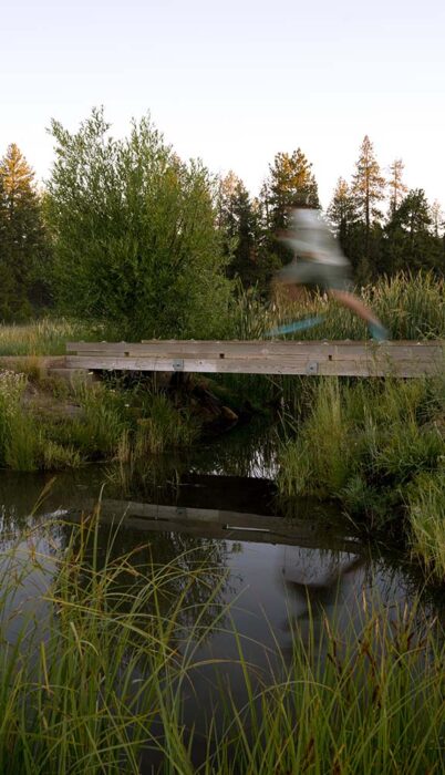 A trail runner in motion blur crosses a wooden footbridge over a calm creek at dusk, surrounded by tall grasses and reeds, with pine trees lit gold by the setting sun in the background.